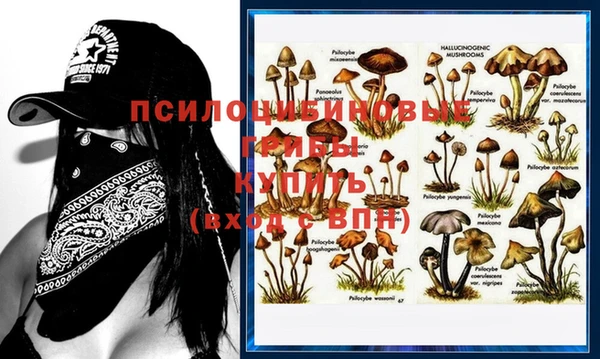 эйфоретик Богородск