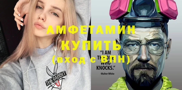 крисы Богородицк
