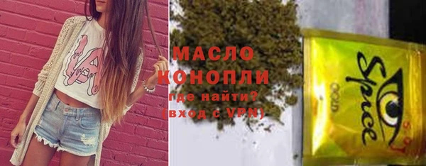 крисы Богородицк