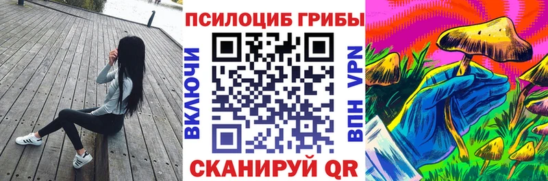 Псилоцибиновые грибы мухоморы  где купить наркотик  Кирс 